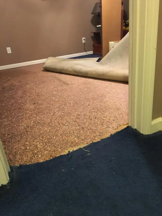 Carpet pad removal revealing water damage during Water Mitigation Services in East Brandywine